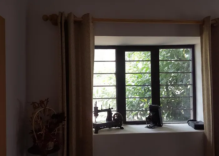 La Casa Del Molle Bed & Breakfast